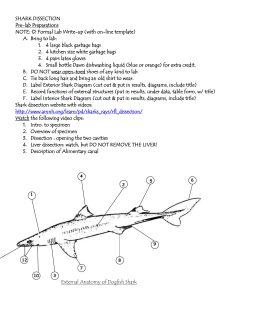 Printables Shark Dissection Worksheet shark dissection worksheet davezan collection of bloggakuten