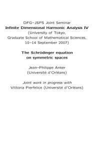 DFG–JSPS Joint Seminar Infinite Dimensional Harmonic Analysis IV (University of Tokyo,