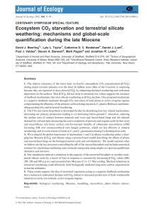 Ecosystem CO starvation and terrestrial silicate weathering: mechanisms and global-scale