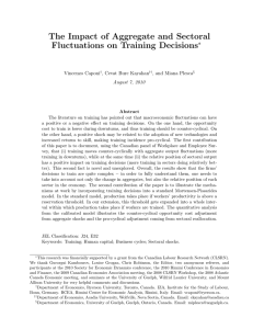 The Impact of Aggregate and Sectoral Fluctuations on Training Decisions ∗ Vincenzo Caponi
