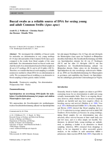 Buccal swabs as a reliable source of DNA for sexing... and adult Common Swifts (Apus apus)