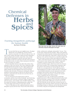 Herbs Spices Chemical Defenses in