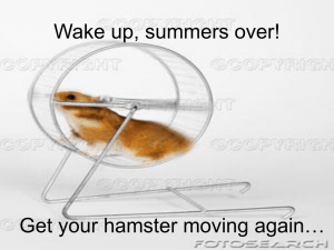 Wake up, summers over! Get your hamster moving again…