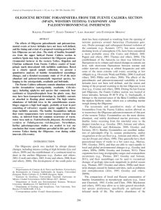 OLIGOCENE BENTHIC FORAMINIFERA FROM THE FUENTE CALDERA SECTION PALEOENVIRONMENTAL INFERENCES