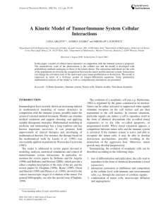 A Kinetic Model of Tumor/immune System Cellular Interactions LUISA ARLOTTI *, ANDREA GAMBA