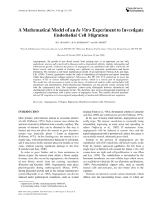 A Mathematical Model of an In Vitro Experiment to Investigate