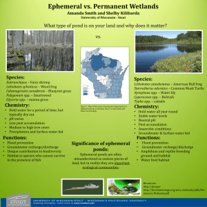 Ephemeral vs. Permanent Wetlands vs. Species: