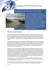 Indicators for the Scheldt estuary Morphology and dynamics in the estuary