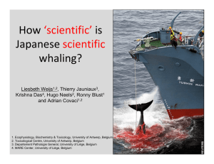 How  is  Japanese  whaling? 