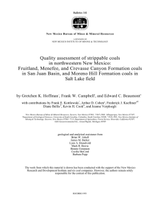 Quality assessment of strippable coals in northwestern New Mexico: