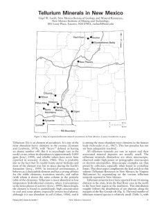 Tellurium Minerals in New Mexico  Virgil W. Lueth