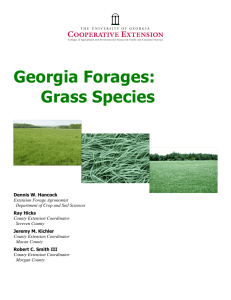 Georgia Forages: Grass Species