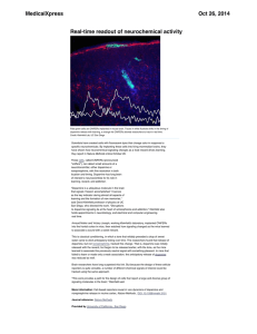 MedicalXpress Oct 26, 2014 Real-time readout of neurochemical activity