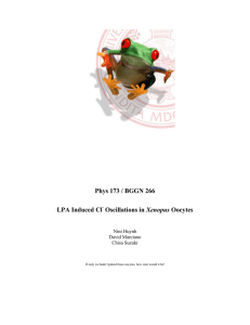 Phys 173 / BGGN 266 LPA Induced Cl Xenopus Nini Huynh