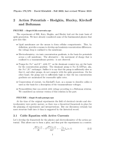 2 Action Potentials - Hodgkin, Huxley, Kirchoff and Boltzman