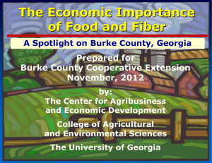 The Economic Importance of Food and Fiber Prepared for Burke County Cooperative Extension