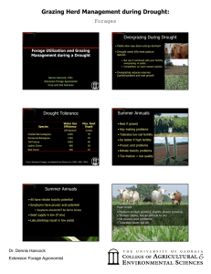 Grazing Herd Management during Drought: Forages Overgrazing During Drought Forage Utilization and Grazing