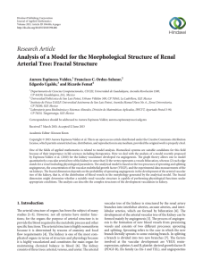 Research Article Arterial Tree: Fractal Structure Aurora Espinoza-Valdez,