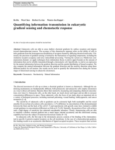 Quantifying information transmission in eukaryotic gradient sensing and chemotactic response