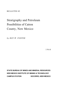 Stratigraphy and Petroleum Possibilities of Catron County, New Mexico BULLETIN 85