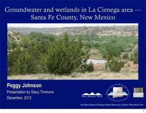 Groundwater and wetlands in La Cienega area — Peggy Johnson