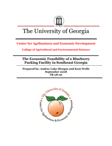 The University of Georgia The Economic Feasibility of a Blueberry