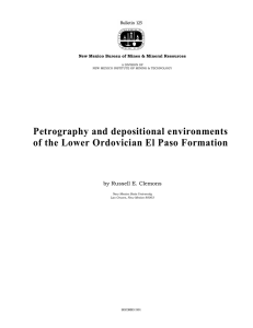 Petrography and depositional environments of the Lower Ordovician El Paso Formation