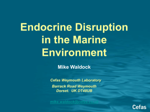 Endocrine Disruption in the Marine Environment Mike Waldock