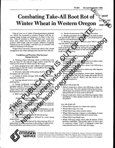 Winter Wheat Western Oregon Combating Take-All Root Rot of in