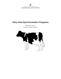 Dairy Herd Synchronization Programs William M. Graves Extension Dairy Scientist