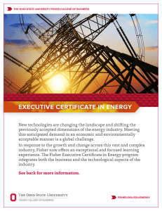 EXECUTIVE CERTIFICATE IN ENERGY