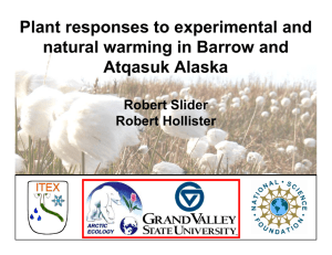 Plant responses to experimental and natural warming in Barrow and Atqasuk Alaska