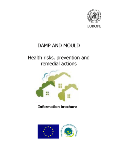 DAMP AND MOULD  Health risks, prevention and remedial actions