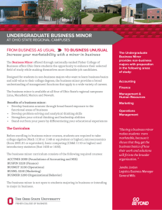 UNDERGRADUATE BUSINESS MINOR FROM BUSINESS AS USUAL TO BUSINESS UNUSUAL