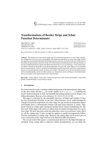 Transformations of Border Strips and Schur Function Determinants