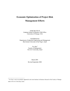 Economic Optimization of Project Risk Management Efforts