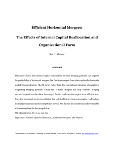 Efficient Horizontal Mergers: The Effects of Internal Capital Reallocation and Organizational Form