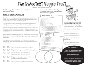 The Sweetest Veggie Treat Reading Comprehension Grades 5-6