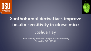 Xanthohumol derivatives improve insulin sensitivity in obese mice Joshua Hay