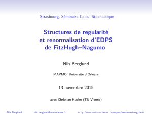 Structures de regularit´ e et renormalisation d’EDPS de FitzHugh–Nagumo