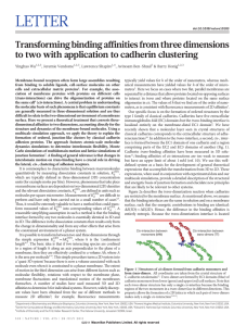 LETTER Transforming binding affinities from three dimensions