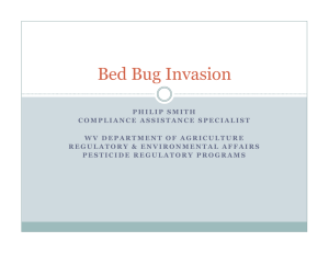 Bed Bug Invasion