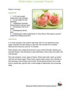 Watermelon Lavender Granita