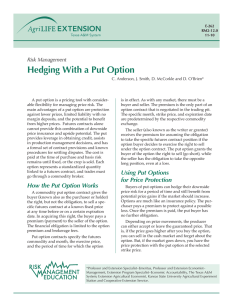 Hedging With a Put Option Risk Management