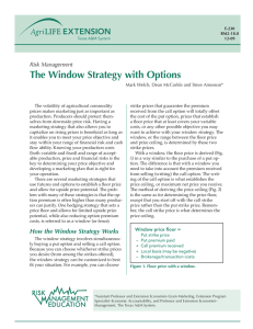 The Window Strategy with Options Risk Management