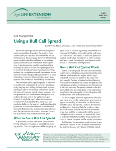 Using a Bull Call Spread Risk Management