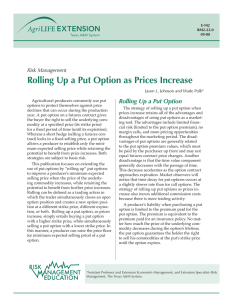 Rolling Up a Put Option as Prices Increase Risk Management