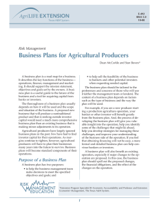 Business Plans for Agricultural Producers Risk Management Dean McCorkle and Stan Bevers*