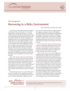 Borrowing in a Risky Environment Risk Management Danny Klinefelter and Dean McCorkle*