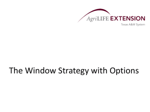 The Window Strategy with Options
